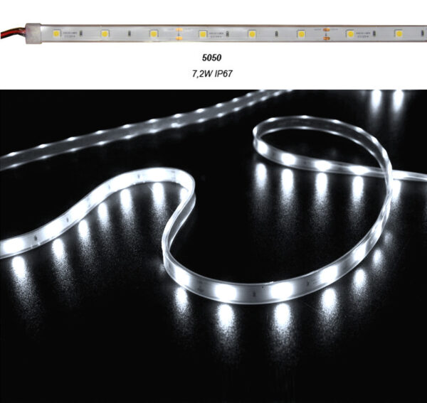Ταινία LED 5m 12VDC 7.2W/m 5050 30LED/m Ψυχρό 6500K IP67