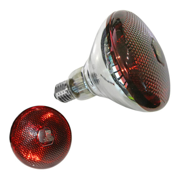 Λάμπα Σκληρας Υαλου R115 Θερμανσεως E27 175W 240V Κόκκινη