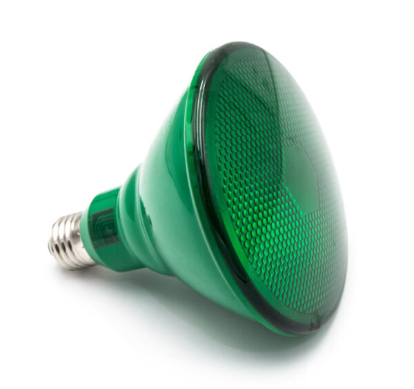 LED Λάμπα PAR38 E27 10W 230V 38° Πράσινο