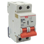 Διακόπτης Ράγας 2P 63A 415VAC BDJ63 LG