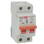 Ασφάλεια Ράγας 2P D 40A 6kA 415VAC BKJ63N LG