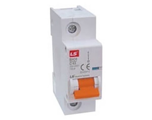 Ασφάλεια Ράγας 1P D 100A 10kA 230/400VAC BKH LG