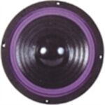 Μεγάφωνο 10″ 300W 8Ω SSW-810