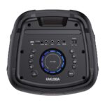 Φορητό BLUETOOTH Ηχείο COLOURFUL 2x8" (Μικρόφωνο + Χειριστήριο) - Image 2