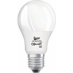 Λάμπα LUCAS A60 LED E27 220V 9W 806lm 6400K ΨΥΧΡΟ ΛΕΥΚΟ