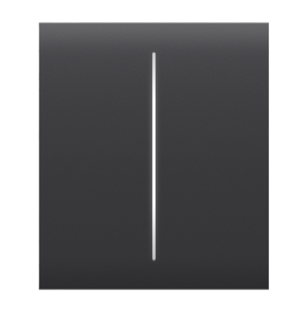 Ajax Πρόσοψη Διακόπτη CENTER BUTTON (2-GANG) GRAPHITE