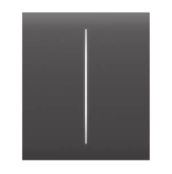 Ajax Πρόσοψη Διακόπτη Γκρι CENTER BUTTON (2-GANG)