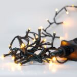 Χριστουγεννιάτικα 100 LED Πράσινο/Ζεστό 8 Προγράμ 5Μέτρα Εσωτ & Εξωτ Χώρου